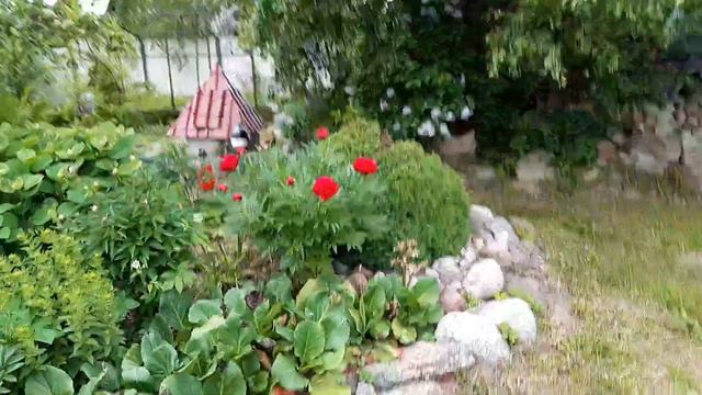 Обзор участка смотреть онлайн