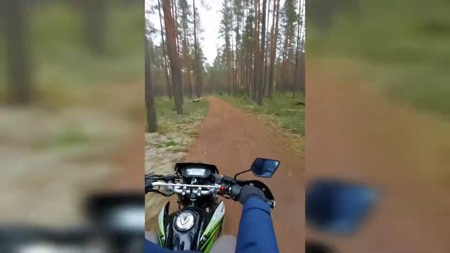 Покатушки Racer Panther 300 rc300-gy8x смотреть онлайн