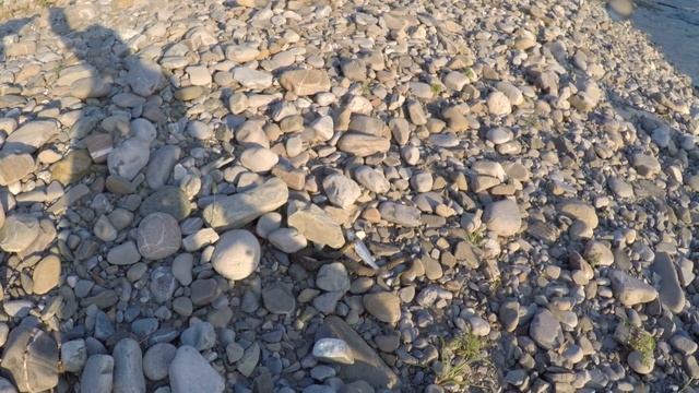 04.07.2018 Псезуапсе. Змея поглощает рыбку. смотреть онлайн