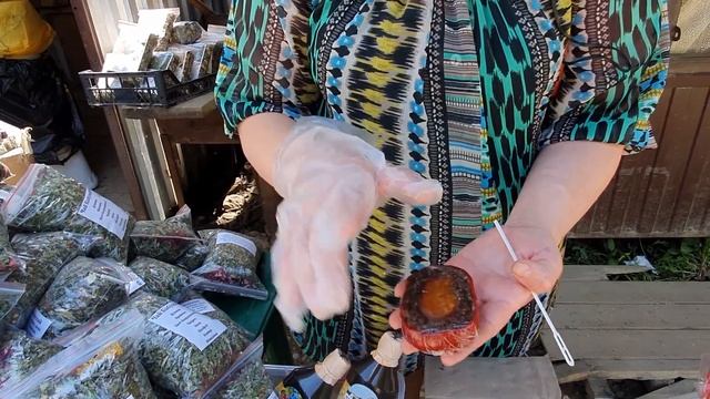 Выходные в горах. Плато Лагонаки смотреть онлайн