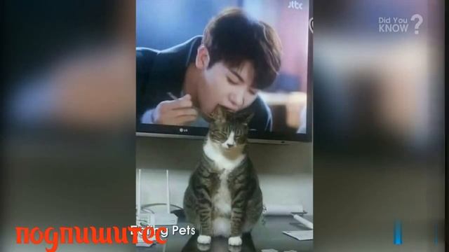 Самые красивые фото в жизнь толка один раз попайдотся в камера. смотреть онлайн