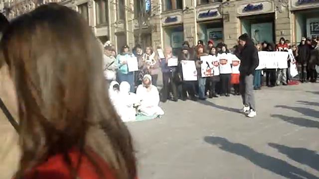 "не бей лежачего" campaign to protect seals, St. Petersburg March 15, 2009. смотреть онлайн