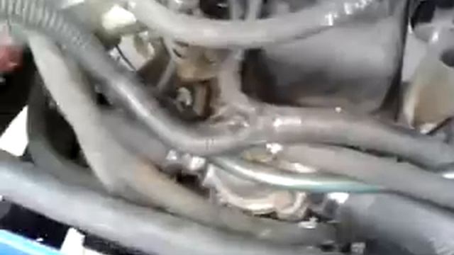 ПЛАВАЮЩИЕ ОБОРОТЫ НА УМЗ  (ГАЗель Бизнес)