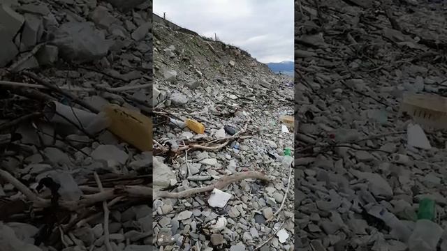 Прогулка у моря. смотреть онлайн