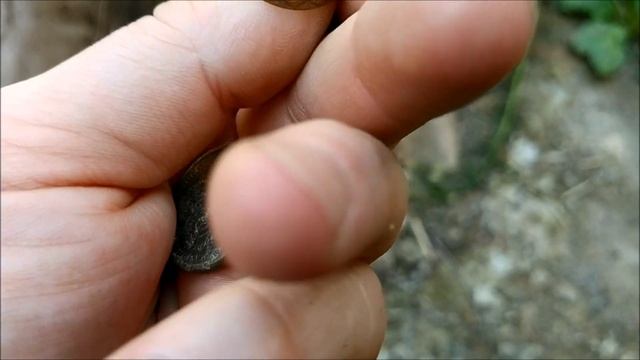 Поиск монет без металлоискателя 91 смотреть онлайн
