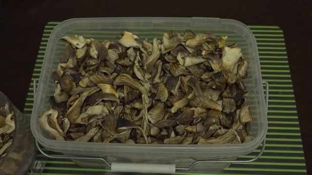Из вешенок готовим грибную икру и грибную муку. смотреть онлайн