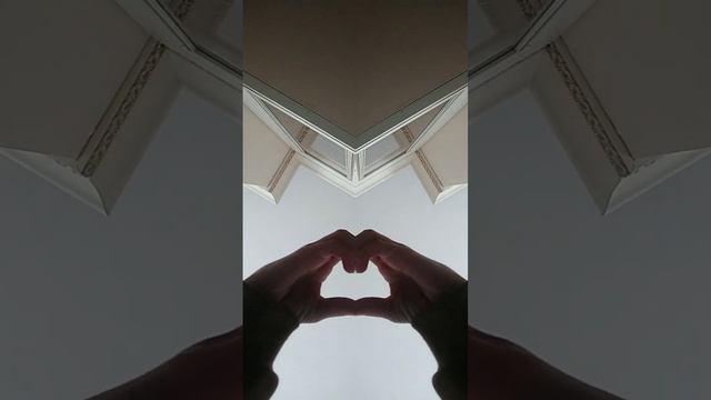 15 ноября 2023 г. смотреть онлайн