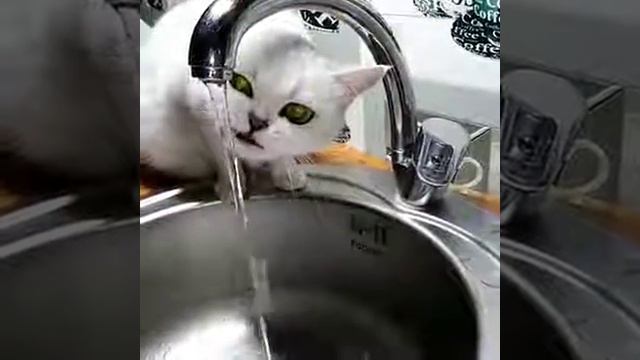 С утра после пьянки))) смотреть онлайн