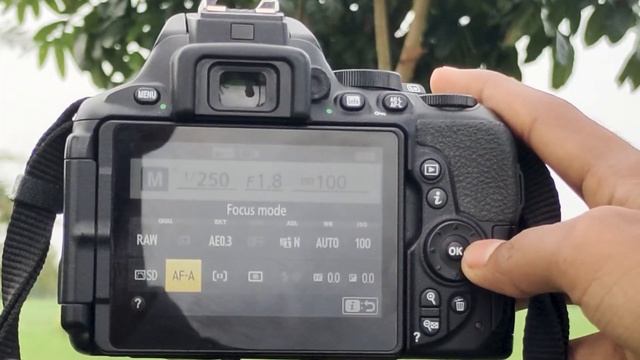 Nikon D5600 Camera Best Settings For Beginners смотреть онлайн