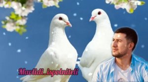 Юсуф Асхабалиев нашид на аварском языке  Свадебный нашид 2022