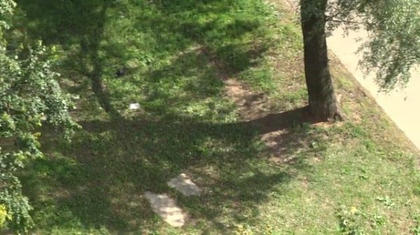 Поиграем в нырки.Чей туфля?