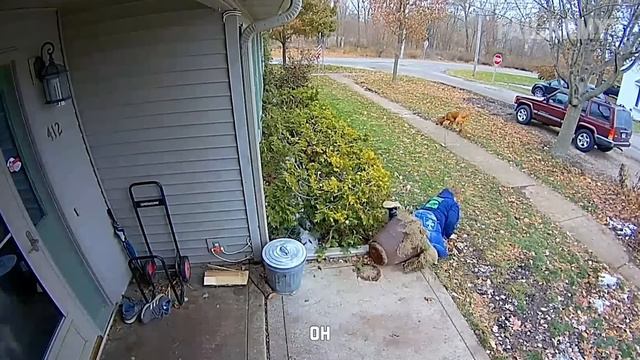 Funny Fall Fails | People Tripping And Falling Compilation