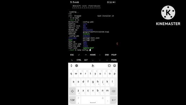 how to install beef tool in Termux 2023 || Beef installing in Termux || beef tool GitHub in Termux смотреть онлайн