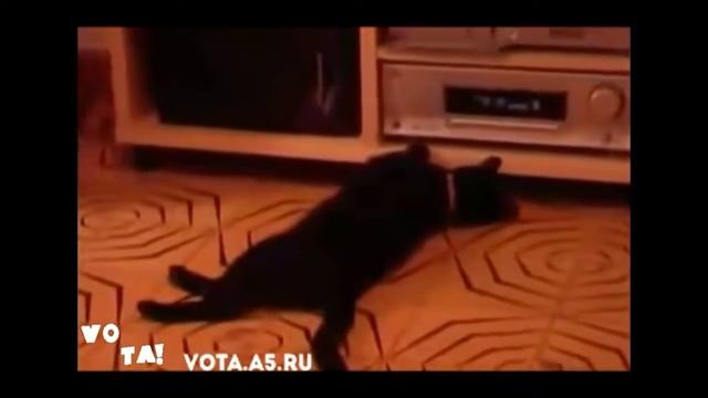 Супер ПУК !!!???