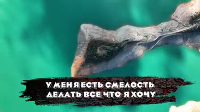 ЛУЧШИЕ АФФИРМАЦИИ (+МЕДИТАЦИЯ) ПРОЦВЕТАНИЯ, ИЗОБИЛИЯ и РАДОСТИ. смотреть онлайн