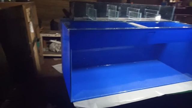 Aquarium scotlet biru oracal 120x50x50 plus tof filter смотреть онлайн
