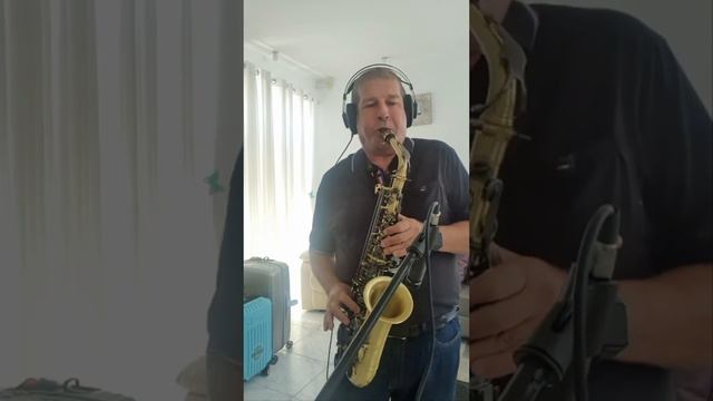 Strangers in the night - saxophone alt Brasspire ( Cover ) смотреть онлайн