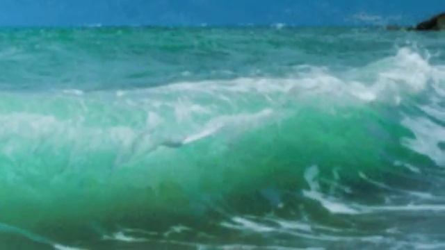 МЫ ВМЕСТЕ. стихи, видео Людмилы Казачок смотреть онлайн