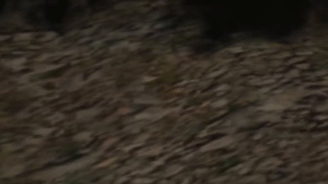 НЕЙРОСЕТЬ учится ЛЕТАТЬ [Перевод Code Bullet] смотреть онлайн