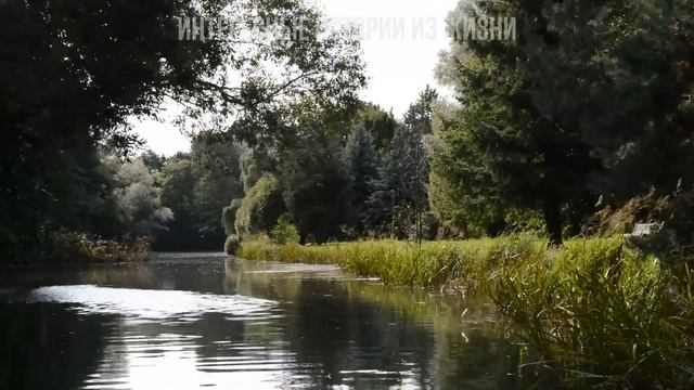 НЕ ЛОМАЙСЯ И ПРИСТУПАЙ К ДЕЛУ СКОРЕЕ! Жизненные истории и аудио рассказы, измена жены в браке смотреть онлайн
