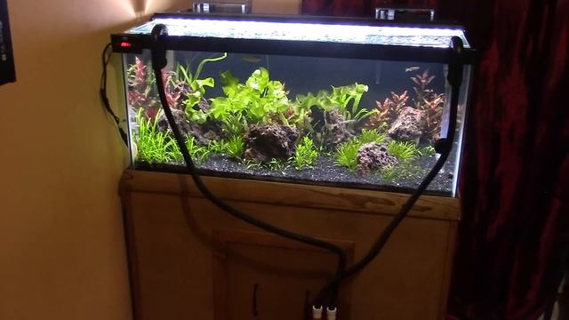 How to set up a fluval 206 canister filter смотреть онлайн