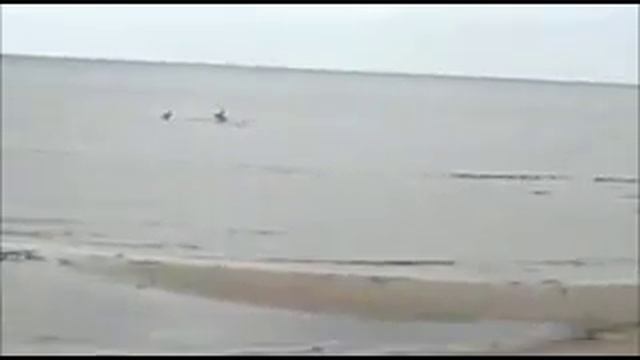 Сосновый Бор 2016 .Часть1 смотреть онлайн