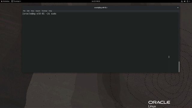 Using Ext2, Ext3, and Ext4 File Systems on Oracle Linux смотреть онлайн