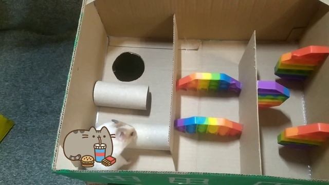 "Three-story Challenge: will the HAMSTER win in the MAZE?" смотреть онлайн