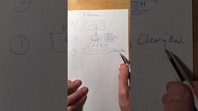 How UNESCO works in 5 functions смотреть онлайн