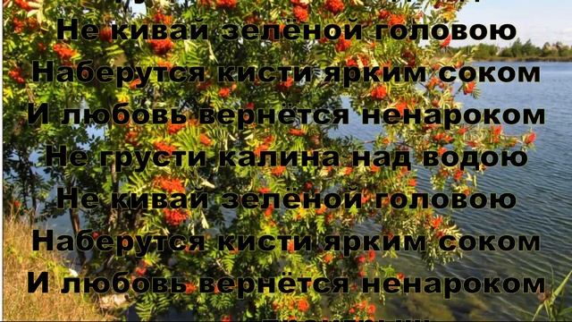 НЕ ГРУСТИ КАЛИНА НАД ВОДОЮ - КАРАОКЕ ПОД БАЯН .ВальЯш !!! текст в описании смотреть онлайн