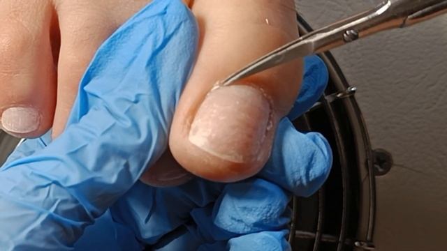 Сломала ноготь, покрытие простым лаком смотреть онлайн
