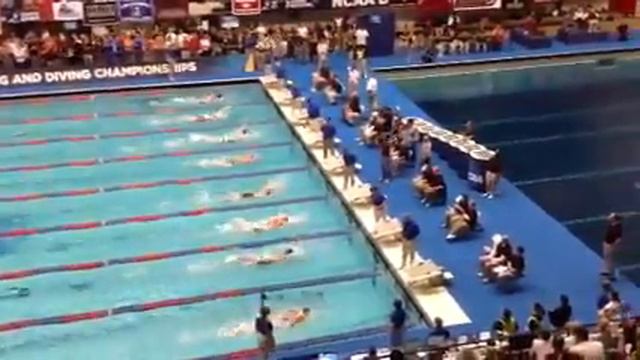 100 fly finals olivia.mov смотреть онлайн