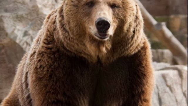 Масленичная неделя. Первый день масленицы смотреть онлайн