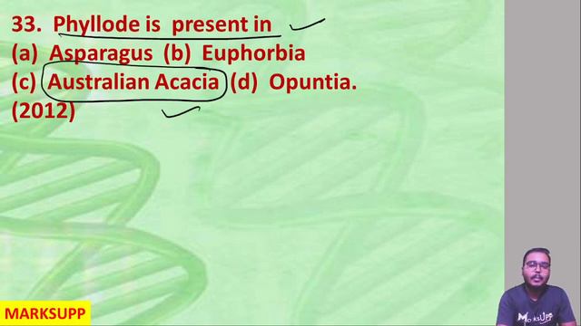 Last 20 Years PYQs Of NEET | Morphology Of Flowering Plants | NEET PYQ Series Ft. Sushil Mishra