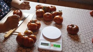 Обзор и дегустация томата Полосатый шоколад