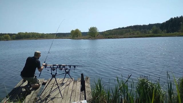 Ловля карпа на флэт фидер весной 26.04.19 смотреть онлайн