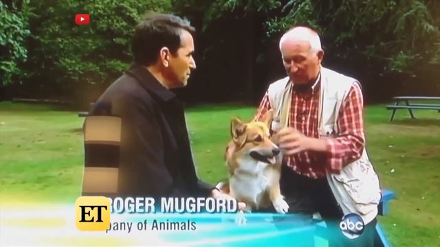 The Royal Life Of The Queen's Corgis смотреть онлайн