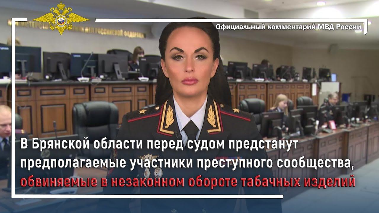Ирина Волк: В Брянске перед судом предстанут обвиняемые в незаконном обороте табачных изделий смотреть онлайн