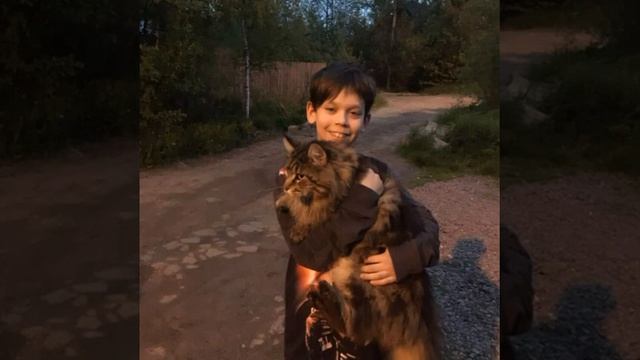 Мыслепад!!! смотреть онлайн