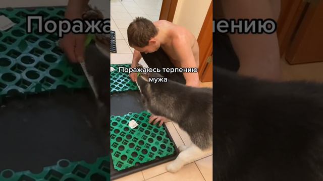 Ты не правильно делаешь