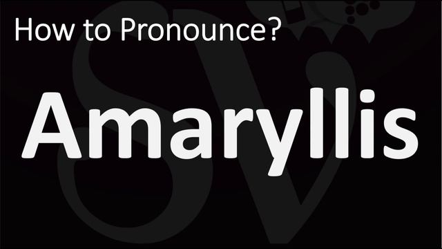 How to Pronounce Amaryllis? (CORRECTLY) смотреть онлайн