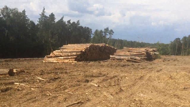 ГК Мортон вырубил лес ради переноски ЛЭП (Боброво-Лопатино МО) смотреть онлайн