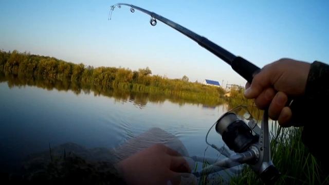 рыбалка на реке Усень, плотва на фидер. смотреть онлайн