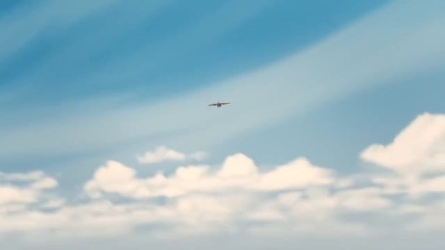 Мультик "Полет" смотреть онлайн