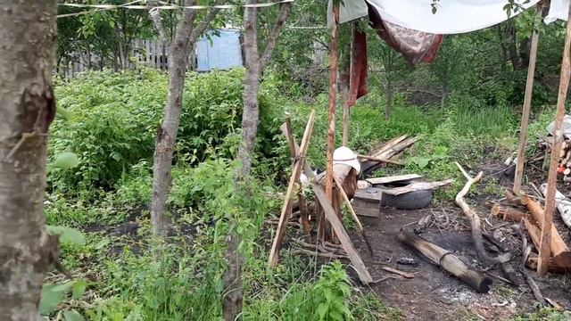 Барсик точет когти смотреть онлайн