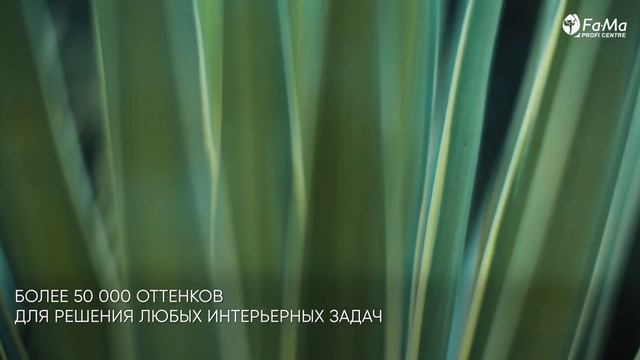 Интерьерные краски Fama Paint для создания неповторимых дизайн проектов смотреть онлайн