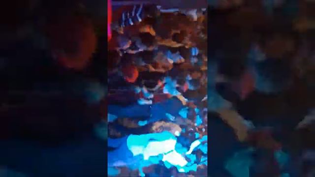 Бабамурат Каракулов 3 смотреть онлайн