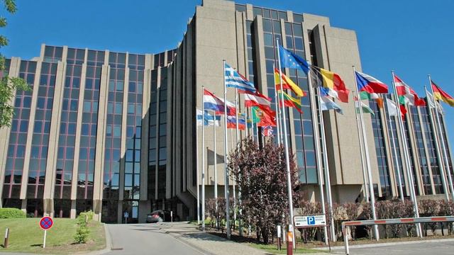 ОБРАТНЫЙ ОТСЧЕТ ПОШЕЛ! Бывшие союзники становятся врагами! Терпению КОНЕЦ! смотреть онлайн