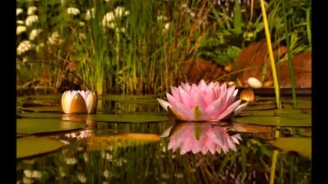 МАНТРА РАССЛАБЛЕНИЯ смотреть онлайн