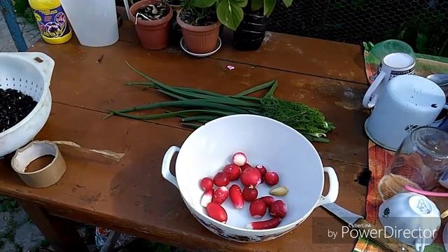 Утки в новом доме//наконец приехал траХтер//вкусный деревенский ужин из печи смотреть онлайн